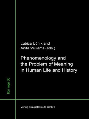 cover image of Phenomenology and the Problem of Meaning in Human Life and History